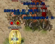 玩家想要去幻境八的时候要先注意这两件事