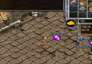 单职业打金传奇中战士适合打战队