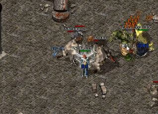 如何在胜者为王活动当中保证自己能够活下来