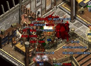 如何在毒蛇山谷副本中快速升级新手角色?