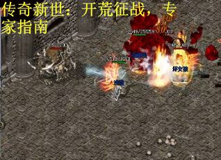 传奇新世:开荒征战,专家指南 传奇新世:开荒征战,专家指南