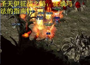 圣天伊征战之路:征战玛法的指南针 圣天伊征战之路:征战玛法的指南针