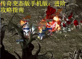 传奇变态版手机版：进阶攻略指南