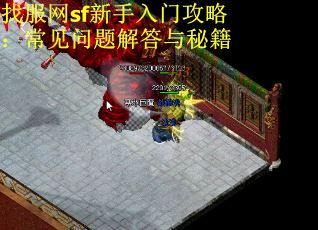 找服网sf新手入门攻略:常见问题解答与秘籍 找服网sf新手入门攻略:常见问题解答与秘籍