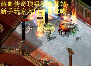 热血传奇顶级私服网站:新手玩家入门必备攻略