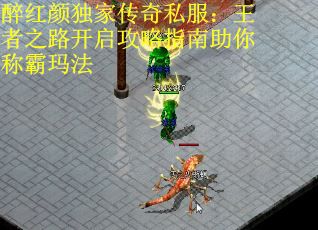 醉红颜独家传奇私服:王者之路开启攻略指南助你称霸玛法 醉红颜独家传奇私服:王者之路开启攻略指南助你称霸玛法