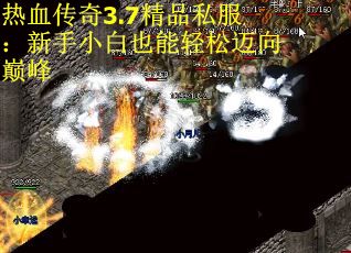 热血传奇3.7精品私服:新手小白也能轻松迈向巅峰 热血传奇3.7精品私服:新手小白也能轻松迈向巅峰