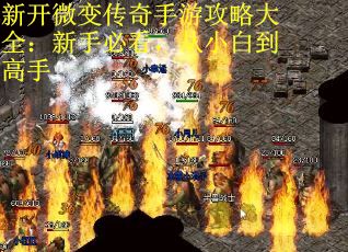 新开微变传奇手游攻略大全：新手必看，从小白到高手