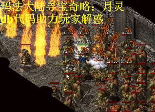 玛法大陆寻宝奇略：月灵db代码助力玩家解惑