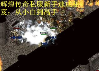 辉煌传奇私服新手速成秘笈:从小白到高手 辉煌传奇私服新手速成秘笈:从小白到高手