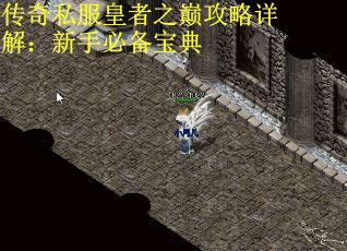 传奇私服皇者之巅攻略详解：新手必备宝典