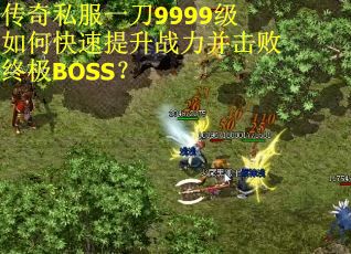 传奇私服一刀9999级如何快速提升战力并击败终极BOSS？