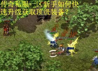 传奇私服一区新手如何快速升级获取顶级装备？