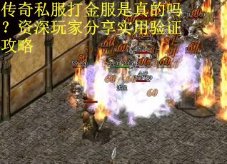 传奇私服打金服是真的吗？资深玩家分享实用验证攻略