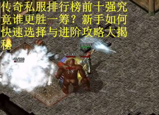 传奇私服排行榜前十强究竟谁更胜一筹？新手如何快速选择与进阶攻略大揭秘