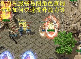 传奇私服畅易阁角色查询攻略如何快速提升战力等级？