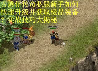 古惑仔传奇私服新手如何快速升级并获取极品装备？实战技巧大揭秘