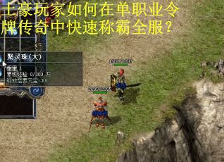 土豪玩家如何在单职业令牌传奇中快速称霸全服？