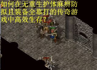 如何在无重生护体麻痹防拟且装备全靠打的传奇游戏中高效生存？