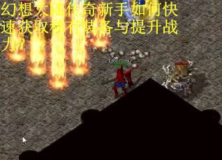 幻想大陆传奇新手如何快速获取稀有装备与提升战力？