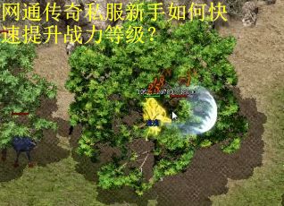 网通传奇私服新手如何快速提升战力等级？
