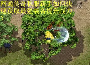 网通传奇私服新手如何快速获取最强装备提升战力？