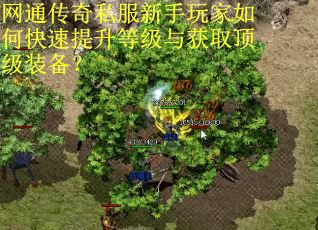 网通传奇私服新手玩家如何快速提升等级与获取顶级装备？