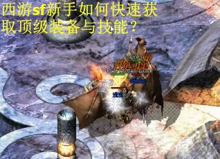 西游sf新手如何快速获取顶级装备与技能？