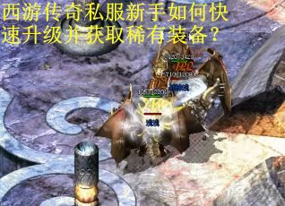西游传奇私服新手如何快速升级并获取稀有装备？