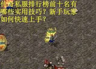传奇私服排行榜前十名有哪些实用技巧？新手玩家如何快速上手？