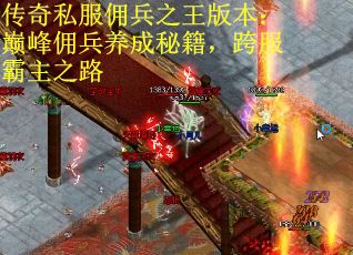 传奇私服佣兵之王版本:巅峰佣兵养成秘籍,跨服霸主之路 传奇私服佣兵之王版本:巅峰佣兵养成秘籍,跨服霸主之路