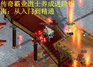 传奇霸业道士养成进阶指南:从入门到精通 传奇霸业道士养成进阶指南:从入门到精通