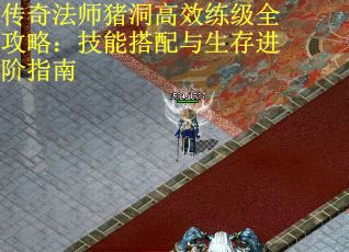 传奇法师猪洞高效练级全攻略：技能搭配与生存进阶指南