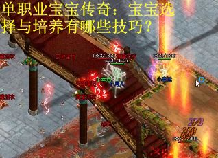 单职业宝宝传奇：宝宝选择与培养有哪些技巧？