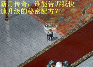 新月传奇：谁能告诉我快速升级的秘密配方？