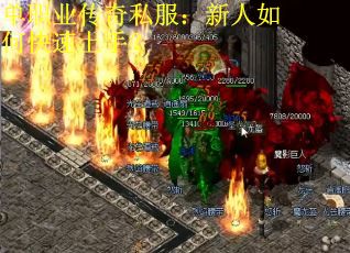 单职业传奇私服：新人如何快速上手？