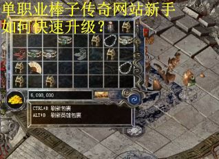 单职业棒子传奇网站新手如何快速升级？