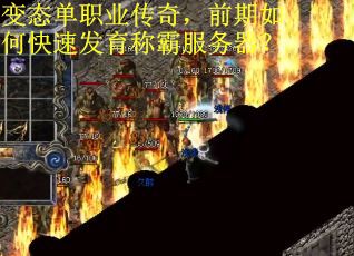 变态单职业传奇,前期如何快速发育称霸服务器?