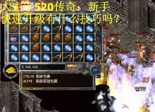 大主宰520传奇：新手快速升级有什么技巧吗？