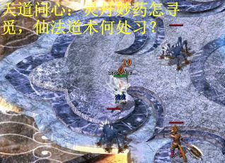 天道问心：灵丹妙药怎寻觅，仙法道术何处习？