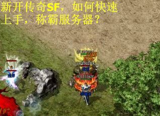 新开传奇SF，如何快速上手，称霸服务器？