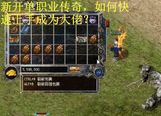 新开单职业传奇,如何快速上手成为大佬? 新开单职业传奇,如何快速上手成为大佬?