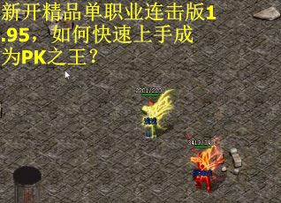 新开精品单职业连击版1.95,如何快速上手成为PK之王?
