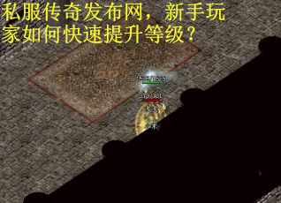 私服传奇发布网，新手玩家如何快速提升等级？