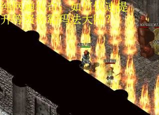 纯网通传奇：如何快速提升等级称霸玛法大陆？