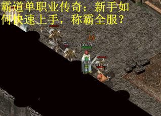 霸道单职业传奇：新手如何快速上手，称霸全服？