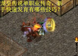 龙皇传说单职业传奇，新手快速发育有哪些技巧？