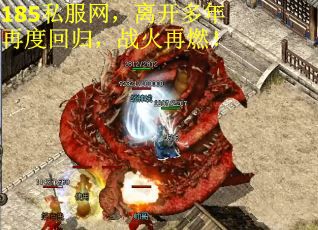 185私服网，离开多年再度回归，战火再燃！