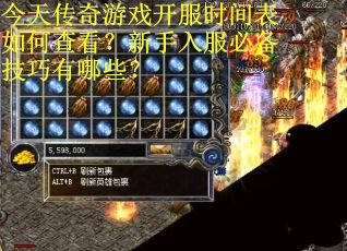 今天传奇游戏开服时间表如何查看？新手入服必备技巧有哪些？