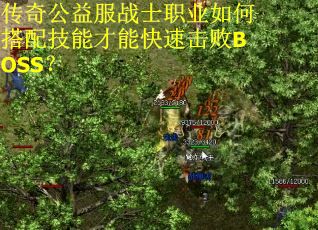 传奇公益服战士职业如何搭配技能才能快速击败BOSS？